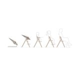 mc4xodqz_cybex-click-fold-all-natural